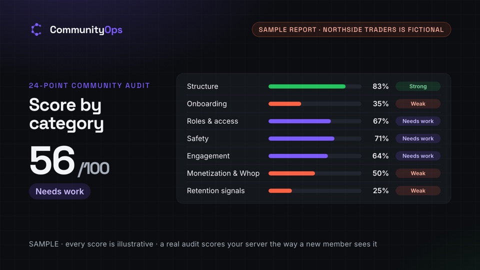 Sample report page: a 56 out of 100 score broken down by category, for a fictional server